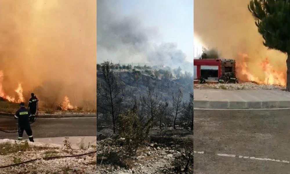 Τέθηκε υπό πλήρη έλεγχο η πυρκαγιά στην Πενταλιά